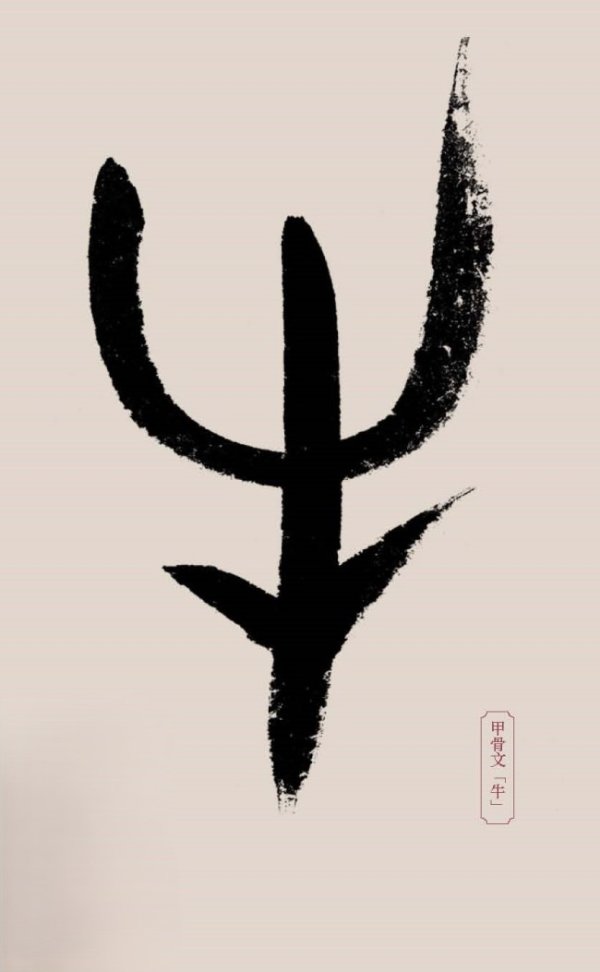 盈配资 刘伟鹏：那头最特别的牛