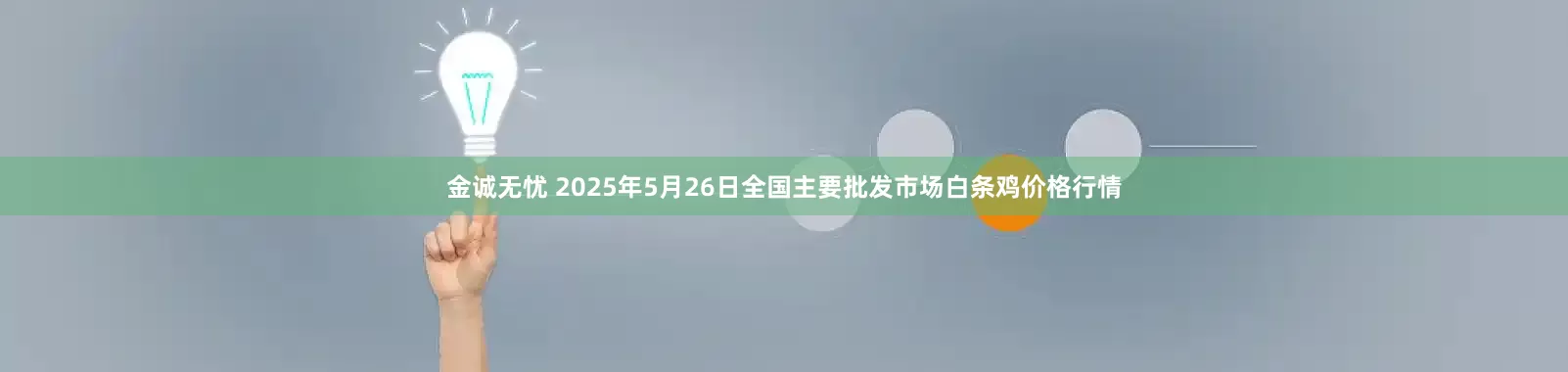 金诚无忧 2025年5月26日全国主要批发市场白条鸡价格行情