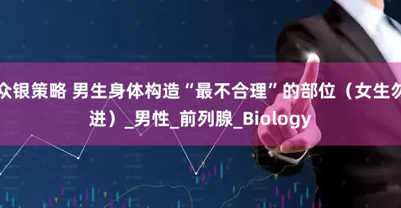 众银策略 男生身体构造“最不合理”的部位（女生勿进）_男性_前列腺_Biology